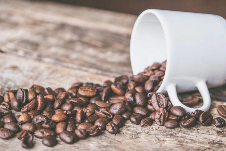 Die Bohne macht den Unterschied nützliche Informationen über Kaffee WirtschaftsNews
